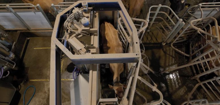 Selekcija osobina važnih za robot mužu – funkcionalne osobine