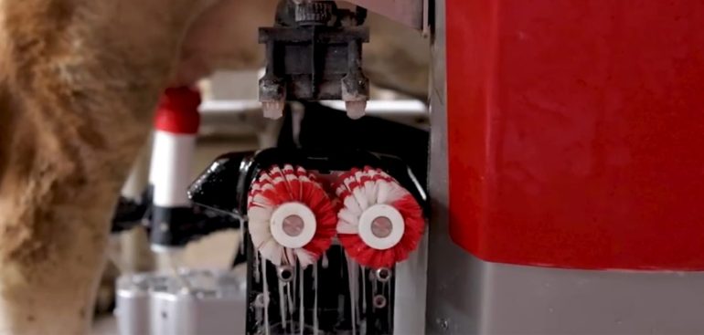 Selekcija osobina važnih za robot mužu – drugačiji pristup