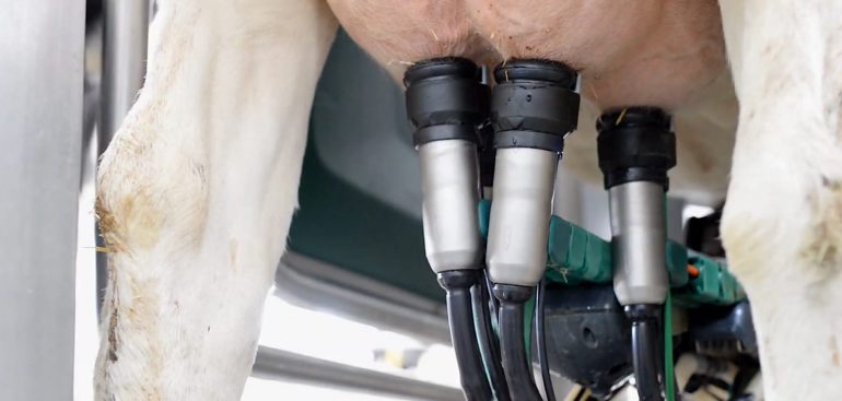 SELEKCIJA OSOBINA VAŽNIH ZA ROBOT MUŽU - Vime