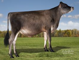 alta baynes dzerzej seme semex alta baynes dzerzej seme semex