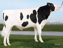 PEAK AltaSLAVIA-ET 011HO15832
reprint 2022-0415