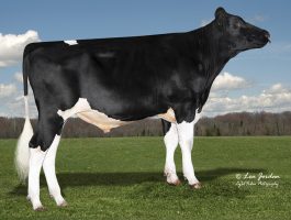 Synergy PEAK AltaBENITO-ET AltaBENITO-ET