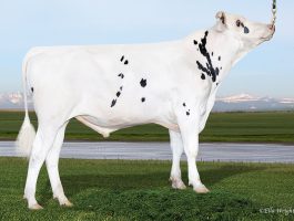 PEAK AltaOBSERVE-ET AltaOBSERVE-ET