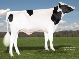 PEAK AltaOVERCOME-ET AltaOVERCOME-ET