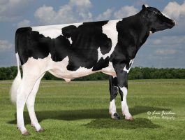 Pen-Col Alta SNAZZY-ET Alta SNAZZY-ET