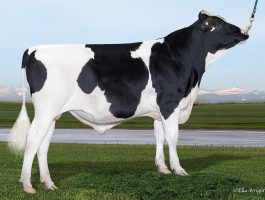 PEAK AltaCAPTIVATE-ET AltaCAPTIVATE-ET