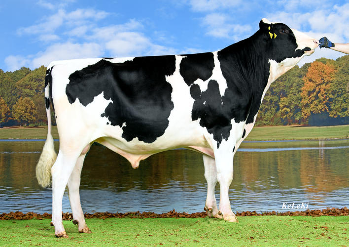 Meier's CARLITOS, HF, Swiss