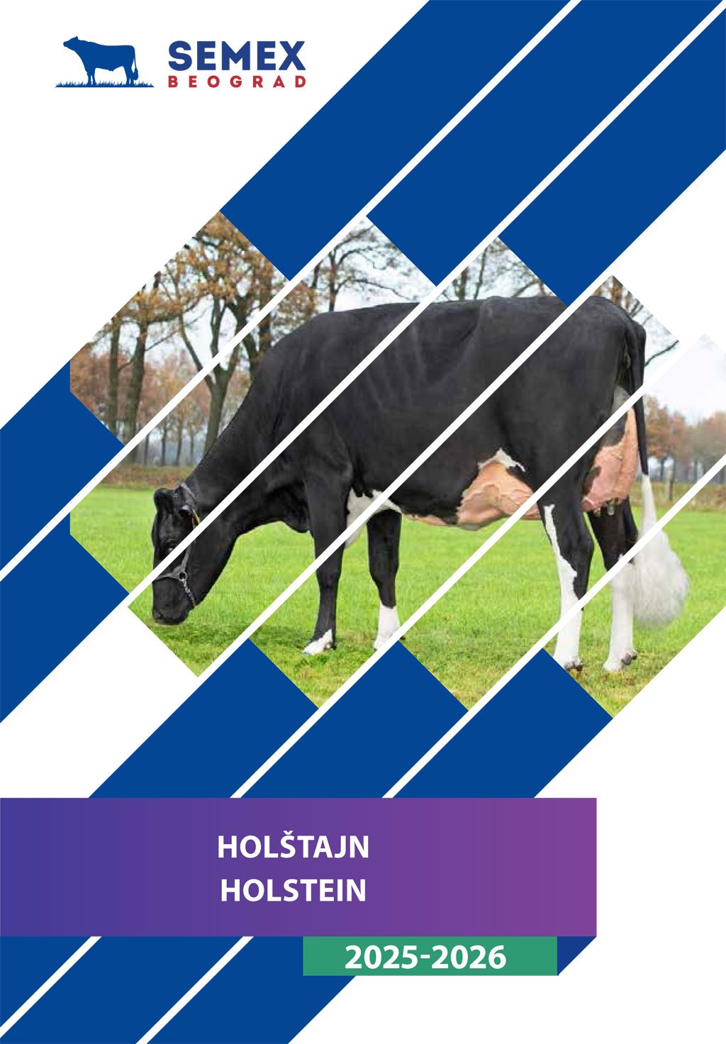 katalog_2025_holstajn