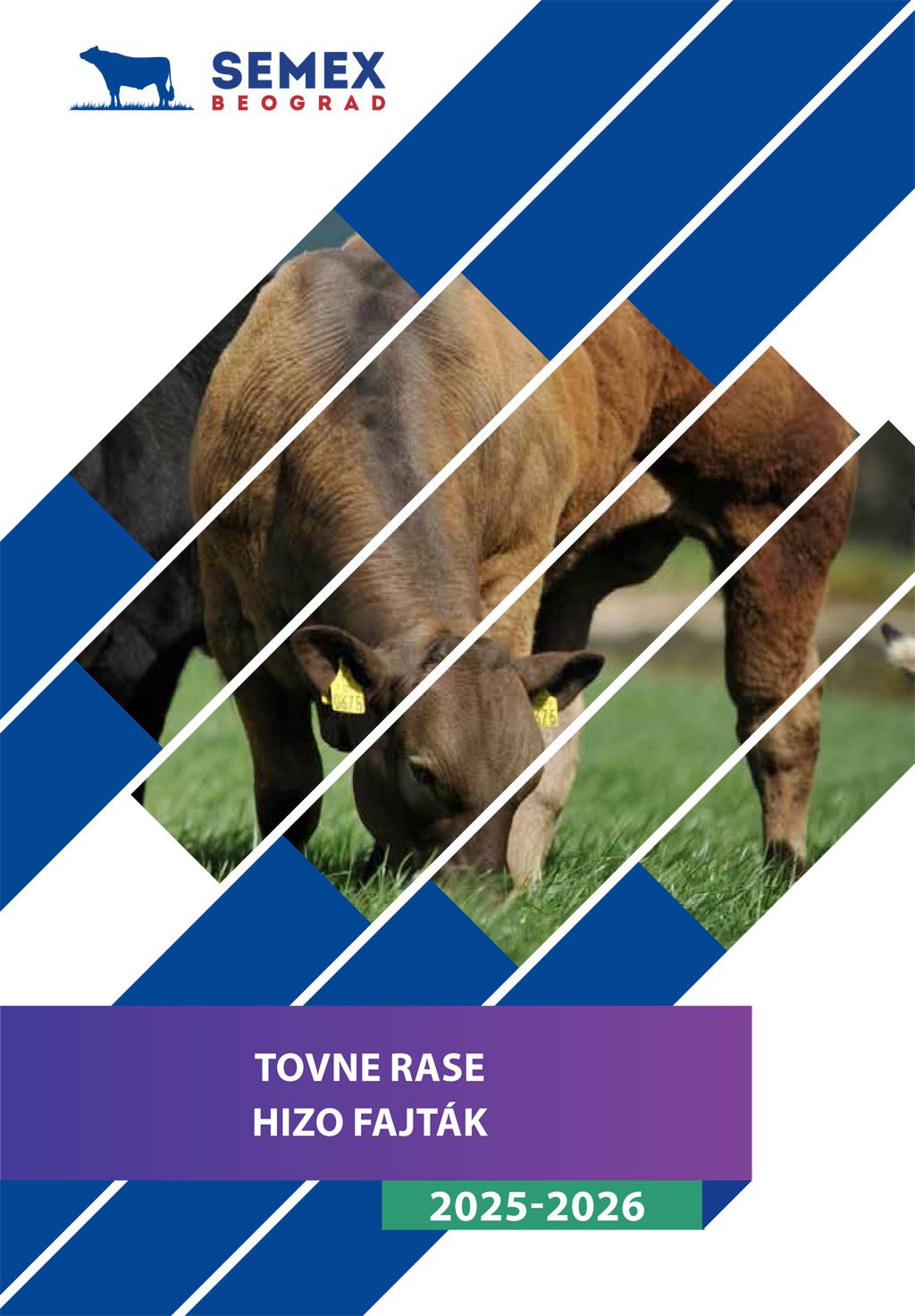 katalog_2025_tovne